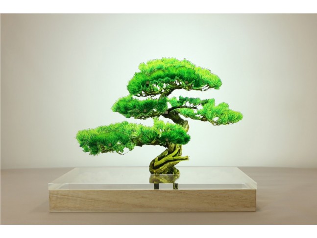 Acrylic Bonsai