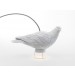 Dove Lamp