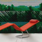 Delaware Forest Wallpaper