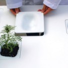 Topo Table