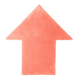 Arrow Rug
