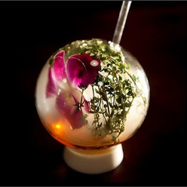 Halm Glasses - Set of 2