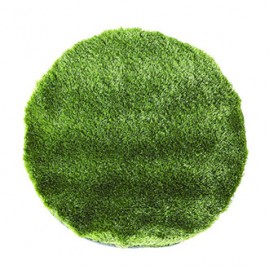 Grass Rug