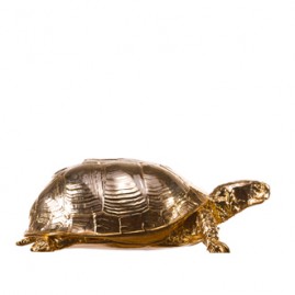 Turtle Box