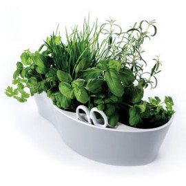 Herb Garden
