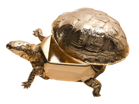 Turtle Box