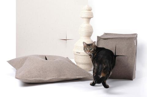 Cat's in Style
