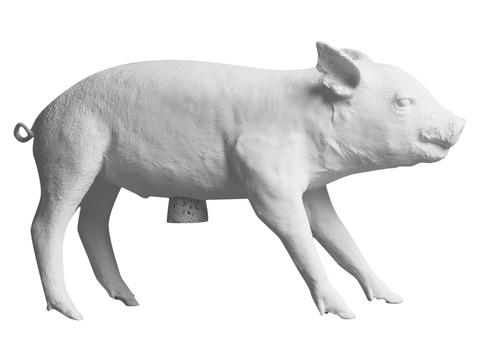 Pig Bank