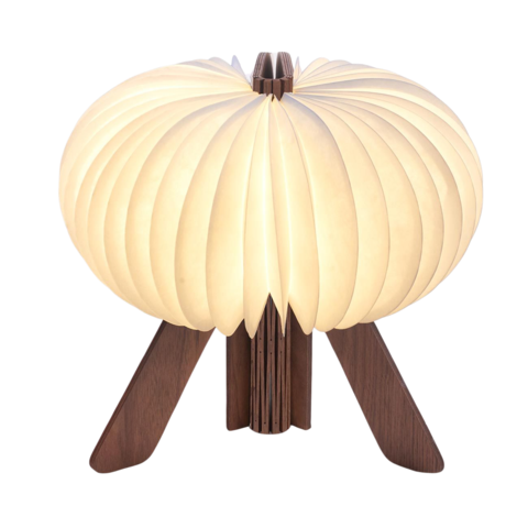 R Space Lamp