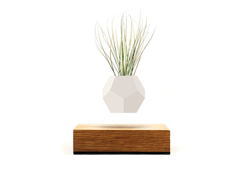 Lyfe Planter