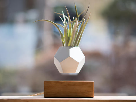 Lyfe Planter