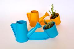Devoted One Planter & Pot