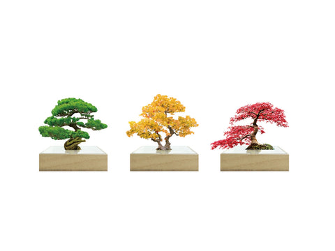 Acrylic Bonsai Mini