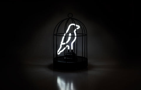 Neon Bird in a Cage
