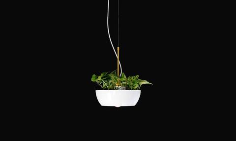 Well Planter Light